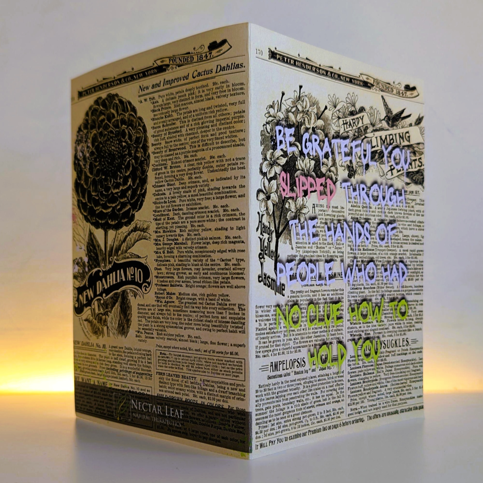 be grateful you slipped 2